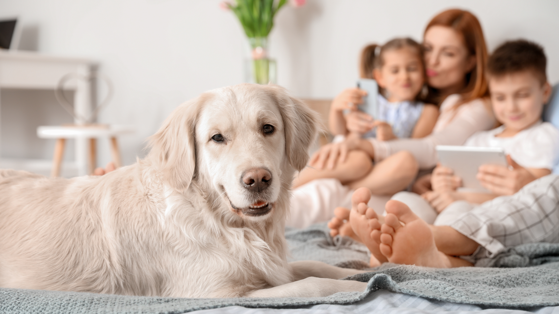 Picture of a dog with a family